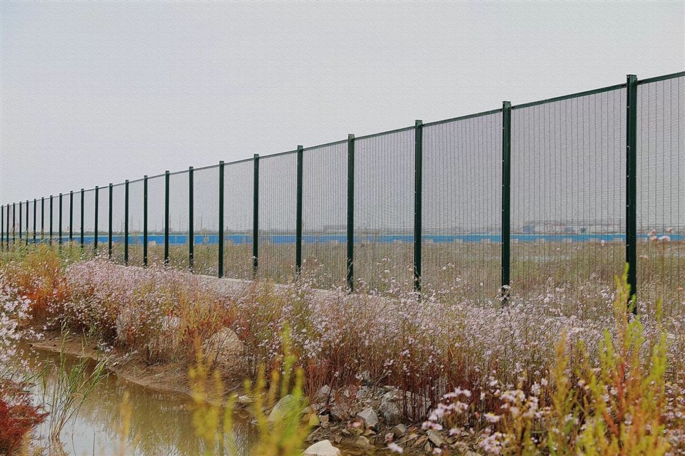 f658e487c2ebd8307492e1655aa8ece(001)